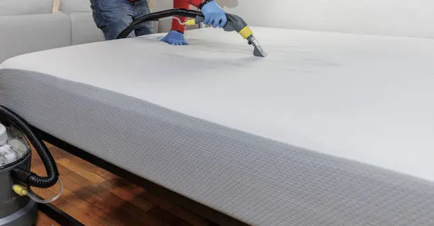 Expert mattress cleaning services by Staha Property care limited